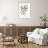 31" x 41" Wild Banksia by Sara Berrenson Wood Framed Wall Art Print - Amanti Art: Modern Style, Acrylic Glazed Lithograph, Hardwood Frame - 4 of 4