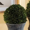 Plum & Post Boxwood Ball Faux (Fake) 8" - 2 of 4