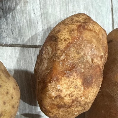 Guest review image 2 of 4, zoom in