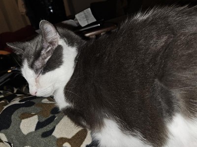 Guest review image 3 of 3, zoom in