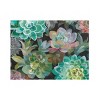 Trademark Fine Art -Danhui Nai 'Floral Succulents v2 Crop' Canvas Art - 2 of 4