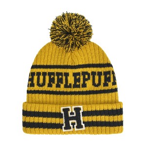 Harry Potter Adult Hogwarts Collegiate Winter Knit Hat with Cuff and Pom - 1 of 3