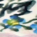 apple blossom