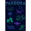 Men's Avatar The World of Pandora Sweatshirt - 2 of 4