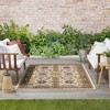 Nourison Essentials Floral Persian Indoor Outdoor Rug - 2 of 4