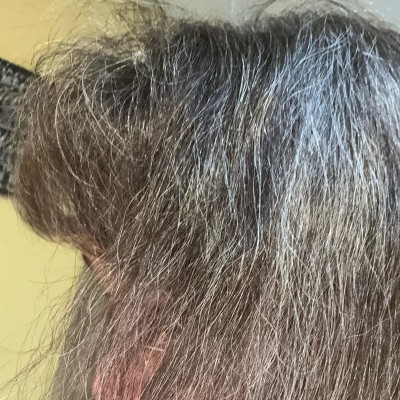 Guest review image 1 of 1, zoom in