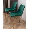 NicBex Contemporary 3-Piece Dining Set, White Round Dining Table with 2 Velvet Chairs (Gold-Plated Legs) for Living Room - 2 of 4