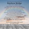 HOPE LOVE SHINE Pet Memorial Necklace Rainbow Bridge Dog Cat Loss Gift + Rainbow Paw Charm Pet Memorial Necklace  Gold / Silver - 4 of 4
