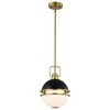 Nuvo Lighting Everton 1 - Light Pendant in  Matte Black - 3 of 4