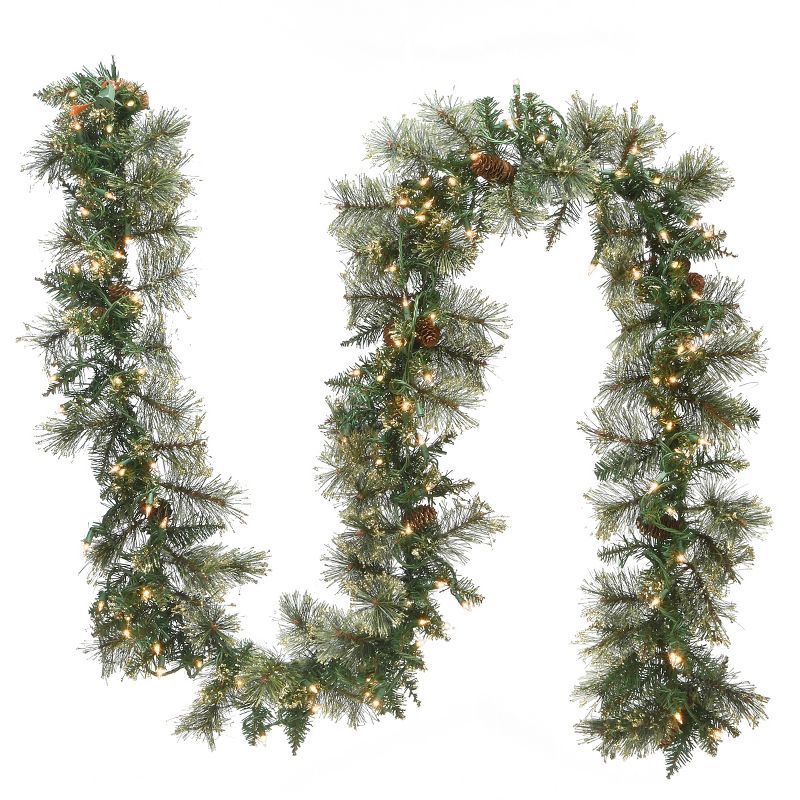 National Tree Company 9 ft. Golden Bristle Garland with Clear Lights, 1 of 7