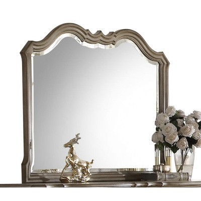 Chelmsford Antique Taupe Finish Mirror