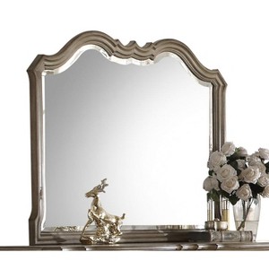 Chelmsford Antique Taupe Finish Mirror - 1 of 1
