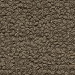 brown olive