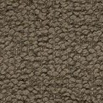 brown olive