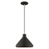 Livex Lighting Metal Shade 1 - Light Pendant in  Black - 3 of 4