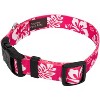 Country Brook Petz Deluxe Dog Collar - Summer Breeze Collection - Made in The U.S.A. - 2 of 4