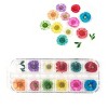 Wrapables Real Dry Flowers Nail Art 3d Flower Nail Decals Nail Manicure with Plastic Case (Set of 12), Daisies - 2 of 4