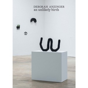 Deborah Anzinger: An Unlikely Birth - by  Daniella Rose King (Hardcover) - 1 of 1