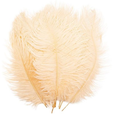 Bright Creations 12 Pack Champagne Ostrich Feather Plumes 12 14 Inches for Crafts, Home, Wedding & Party Decorations