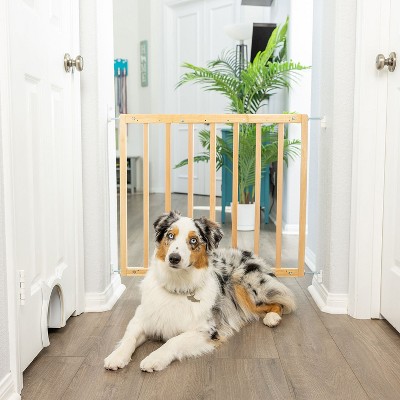 Primetime Petz Safety Mate Pet Gate - The Safety Gate for All Secure Boundaries and Peace of Mind, Ensuring Safety and Freedom for Your Furry Friends
