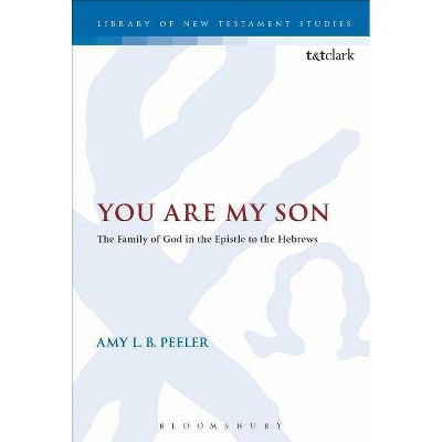 You Are My Son - (Library of New Testament Studies) by  Amy L B Peeler (Paperback)