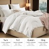 Angel Sar All-Season Oversized Duvet Insert, Solid Plump Comforter with Enhanced Warmth, Lightweight Fluffy Quilt - 4 of 4