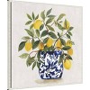 Amanti Art Lemon Plant I by Asia Jensen Framed Wall Art Print - 2 of 4