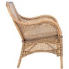 Charlie Rattan Accent Chair W/ Cushion  - Safavieh - 3 of 4