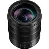 Panasonic Leica DG Vario-Elmarit 12-60mm f/2.8-4 ASPH. POWER O.I.S. Lens - 2 of 4