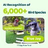 Birdfy Smart Bird Feeder with Camera, Bird Watching Camera with Solar Panel, AI Identify 6000+ Species - 2 of 4