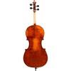 VC305 Andreas Eastman Series Step-Up Cello Outfit - 2 of 2