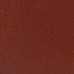 cognac with tan lining