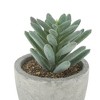 Unique Bargains Artificial Plants Flocked Pinecone in Mini Pulp Plastic 2.56"x2.56"x3.35" 1 Pcs - 4 of 4
