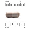 Super Nutrition Cinnamon Extract, 500 mg, 60 Veggie Capsules (250 mg Per Capsule) - 3 of 3