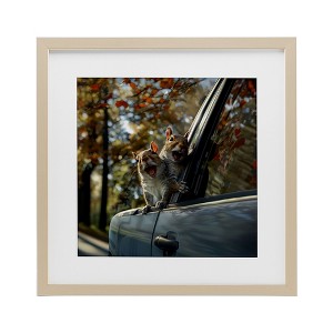 Stupell Industries Funny Squirrel Truck Framed Print Under Glass - 1 of 4