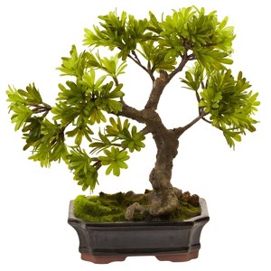 Decorative Podocarpus Plant with Moss Planter - Indoor Silk Tree Accent - 6x8x2.75 Inch - 1 of 3