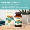 Himalaya Rhodiola for Energy and Stress and Exercise Endurance, 250 mg, 60 Vegan Capsules, 1 Month Supply - 3 of 4
