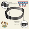 Country Brook Petz Everyday Nylon Dog Collar - 4 of 4