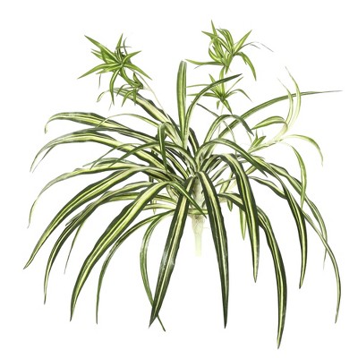 Vickerman 24" Artificial Green Spider Plant, Pack of 2