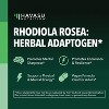 Rhodiola Rosea Capsule, Herbal Adaptogen for Mental and Physical Performance Support, Havasu Nutrition, 60ct - 2 of 4