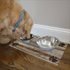 Drymate 12"x 20" Feeding Placemat for Cats and Dogs - Wood Tan - 4 of 4