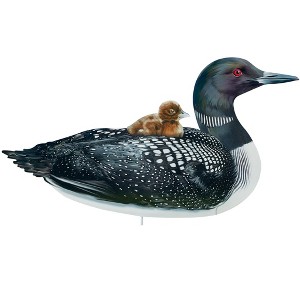 Collections Etc Realistic Common Loon with Baby Outdoor Garden Stake - 1 of 2
