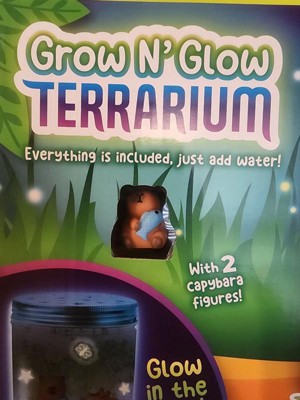 Guest review image 2 of 2, zoom in