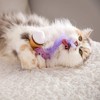 Quirky Kitty Coffee Shop Cat Toy - 2pk - 4 of 4