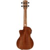 Alvarez RU22CCE Regent Concert Acoustic-Electric Ukulele Natural - 4 of 4