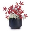 Syemin Planters 3 Pieces Ceramic Flowerpot, Modern Indoor Outdoor Planter Patio with Drainage Holes, Patio, Garden, Gray, 14.96"*14.96"*10.63" - 4 of 4