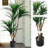 Nature Spring 4.3 ft Artificial Tropical Yucana Tree with Rubber Leaves and Natural Trunk - image 4 of 4