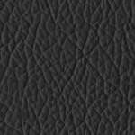 florida a&m rattlers