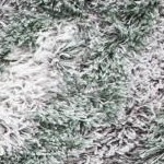 grey/green