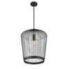 Z-Lite Lido 1 - Light Pendant in  Matte Black - 2 of 4